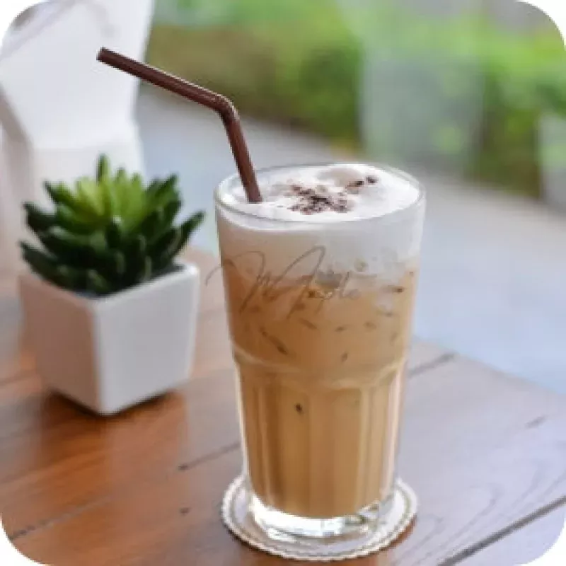 Cappuccino Flavor Powder 1kg